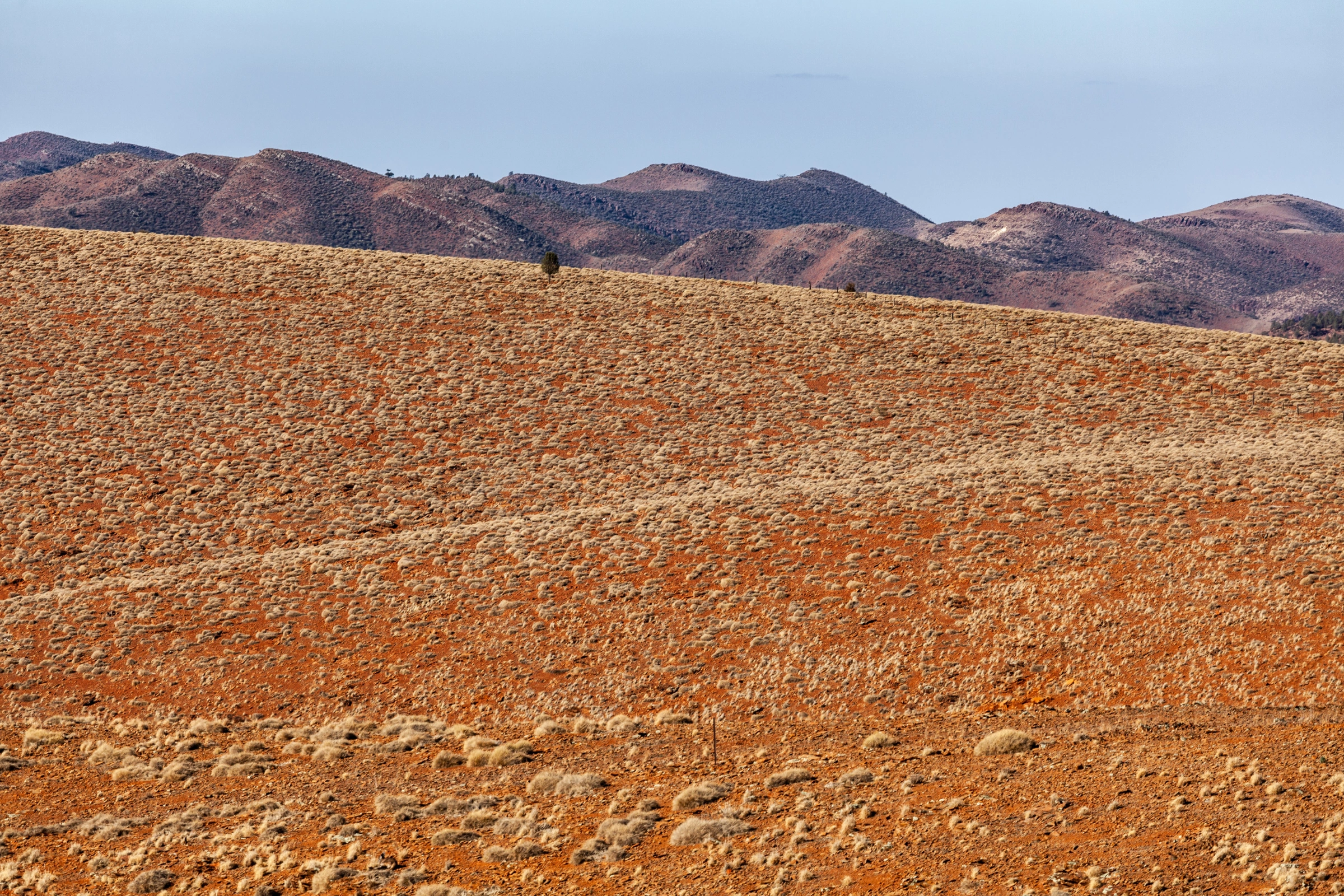 Ikara-Flinders_Ranges_National_Park,_South_Australia[1].webp